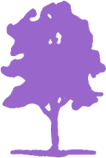 News & Events News & Events